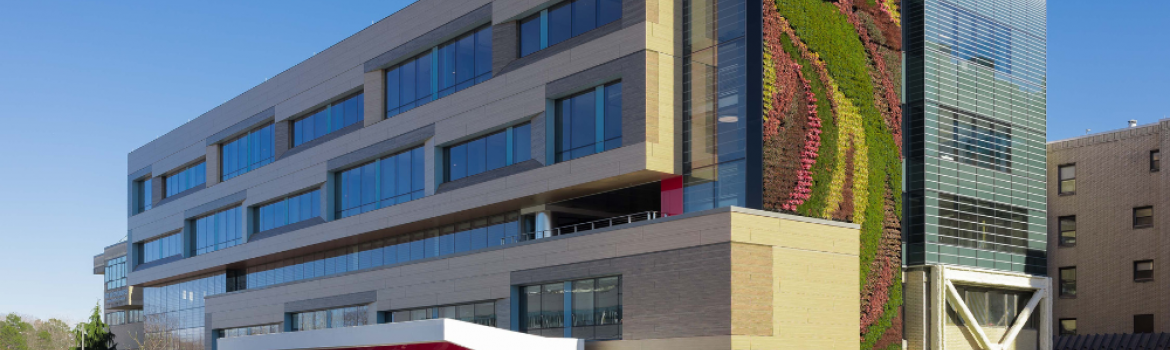 Deborah Heart and Lung with ECO Cladding Subframing for HPL Panels